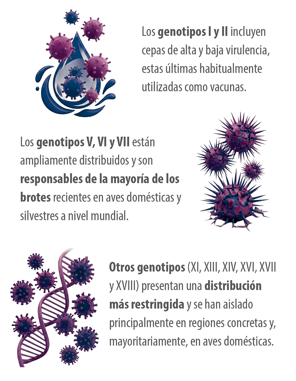 info1 2