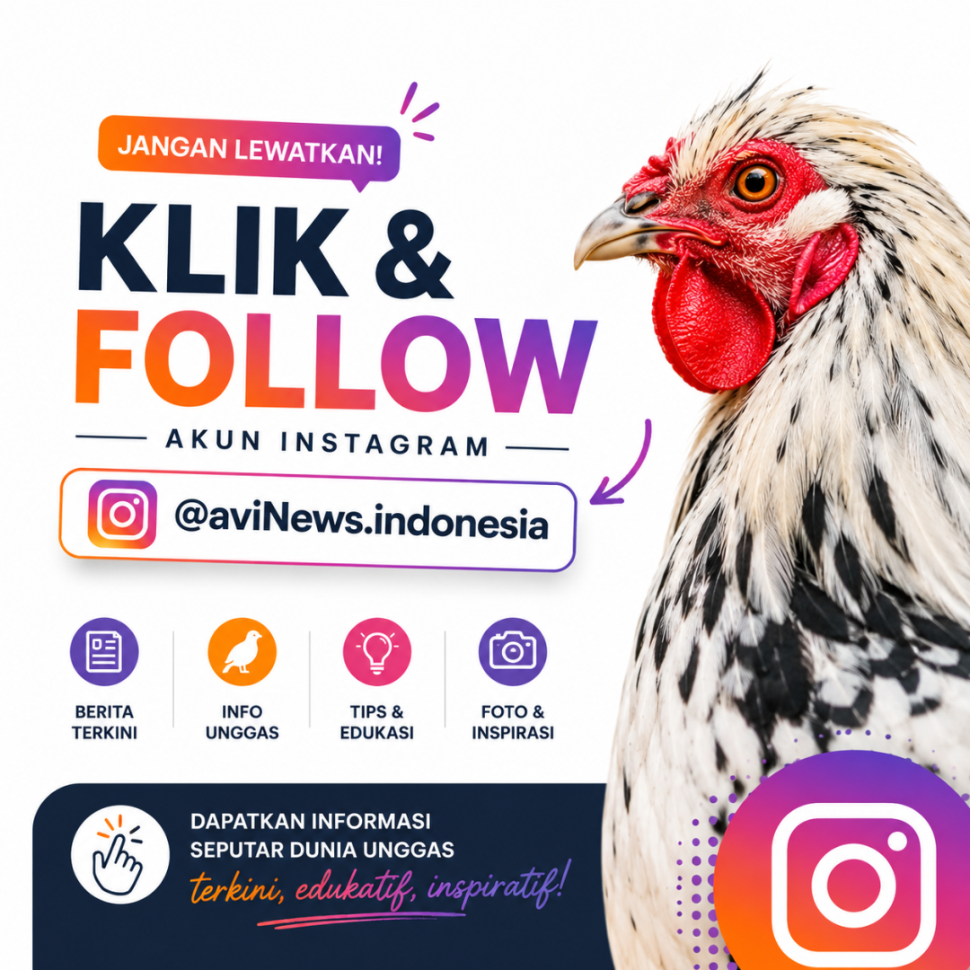http://Instagram%20Indonesia