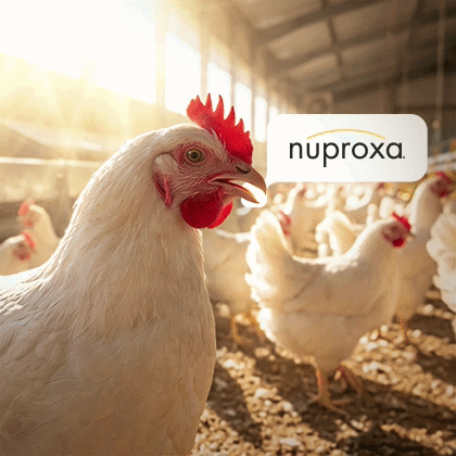 http://NUPROXA