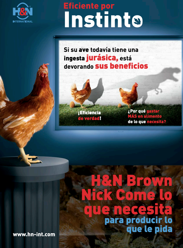 Hn-logo-empresa