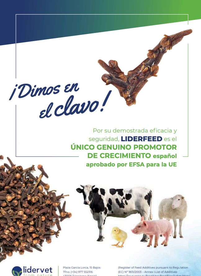 Lidervet-publicidad