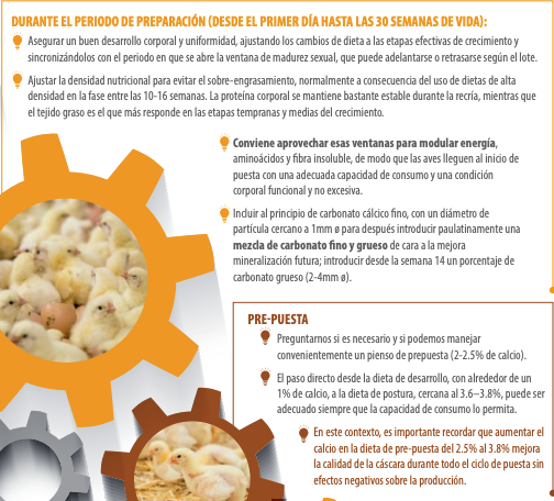 figura