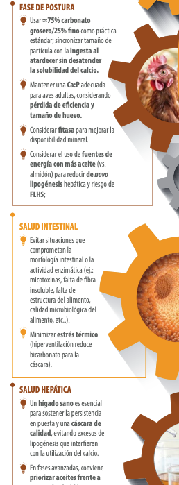 esquema