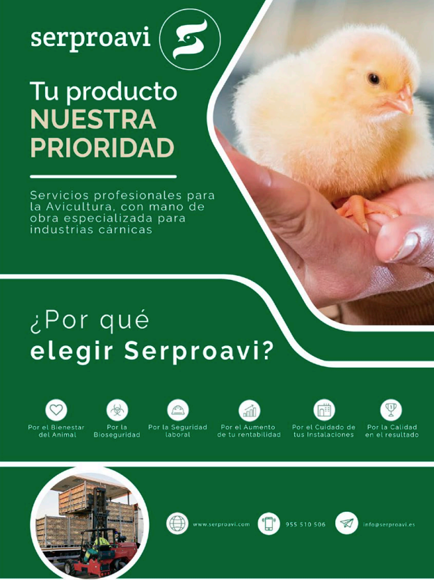 publicidad 