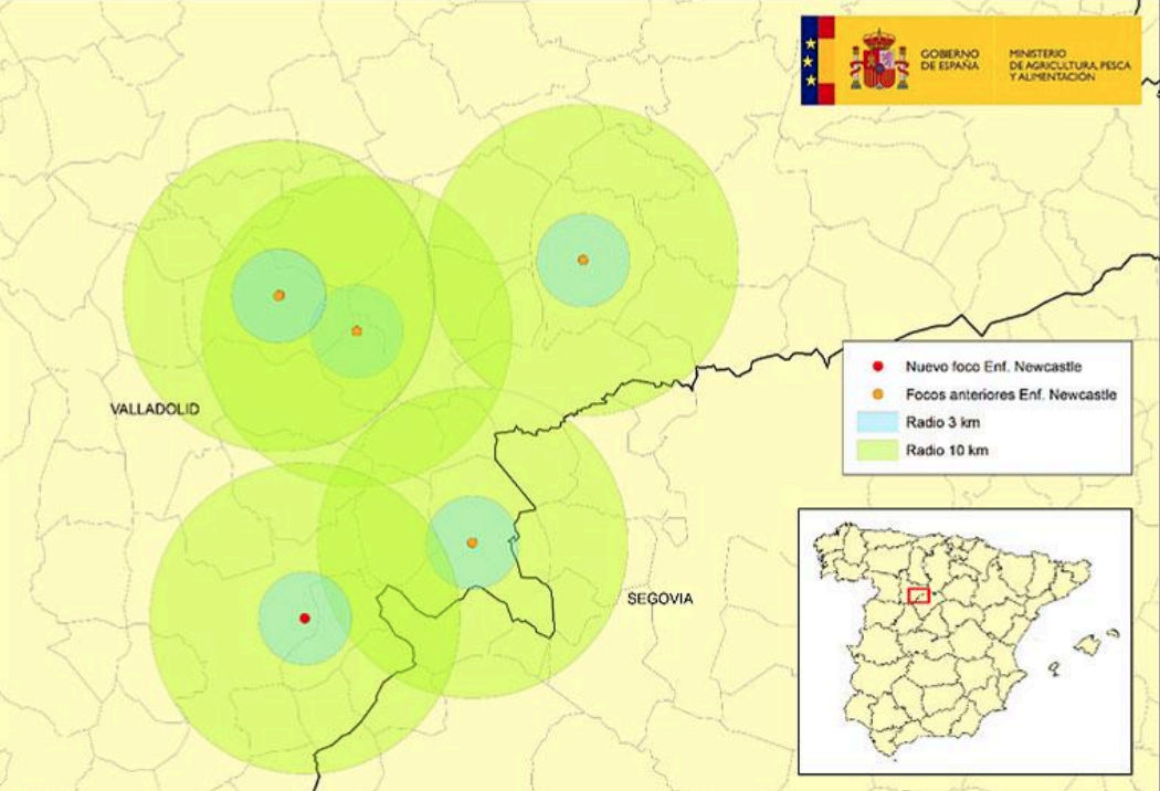 Mapa-enfermedad