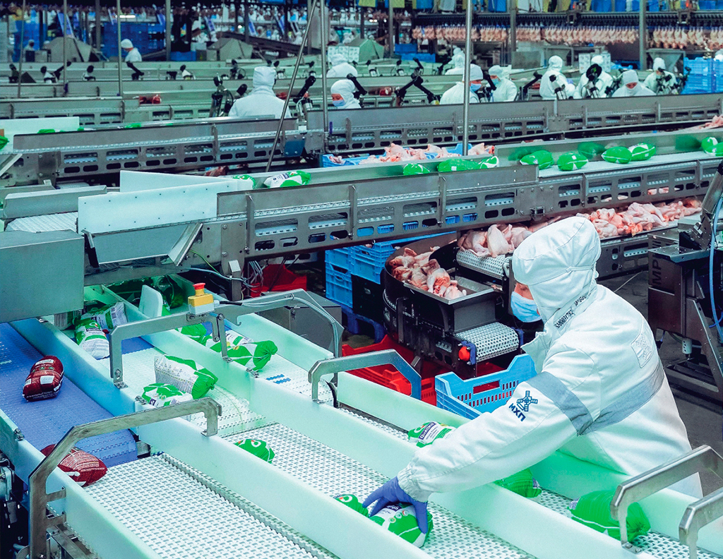 Cold chain investment reshapes India’s chilled and frozen chicken trade