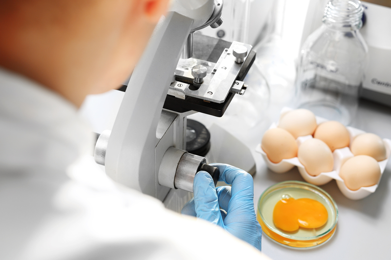 AZTI y la EHU avanzan en el desarrollo de nuevas herramientas biológicas para reducir Campylobacter en producción avícol