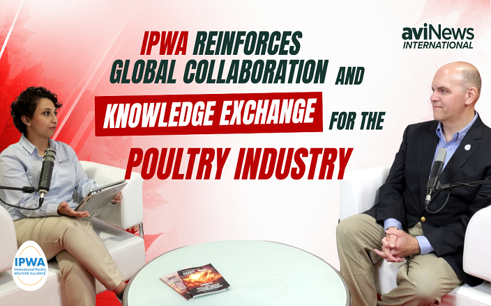 IPWA