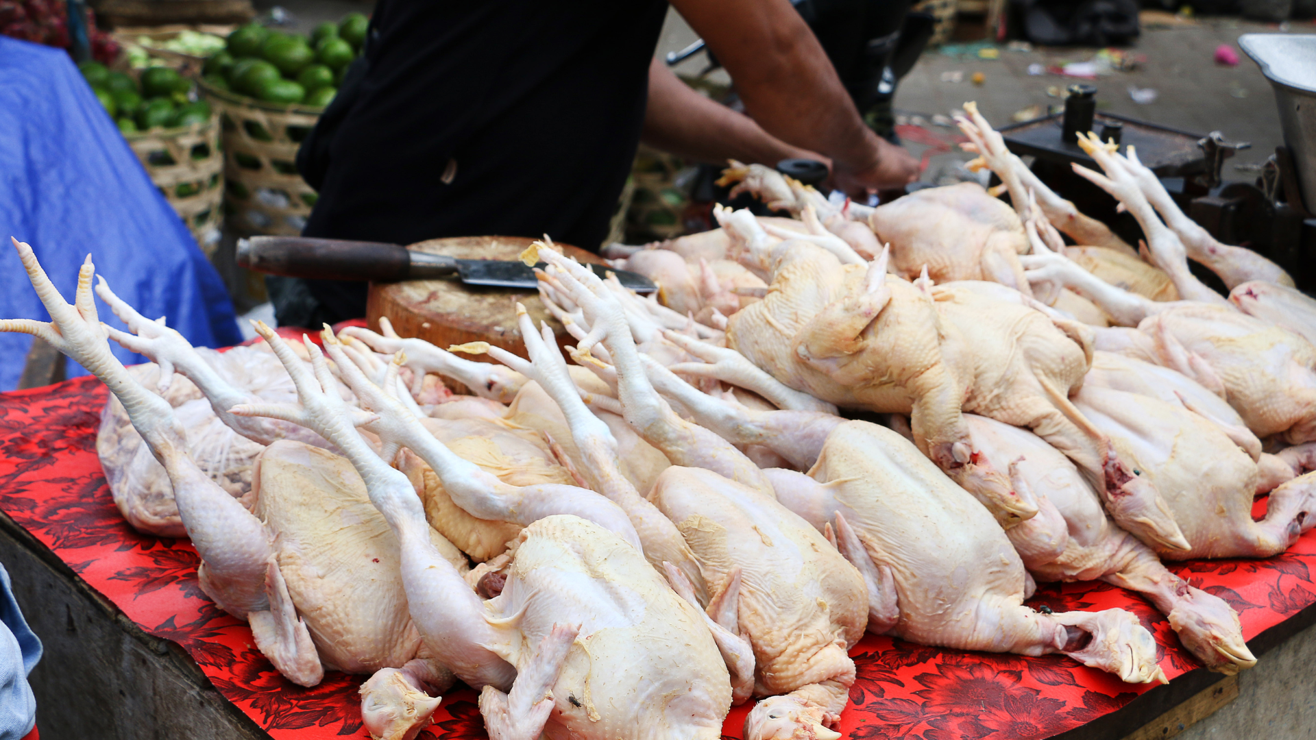 Vietnam clarifies tax rules for household meat businesses