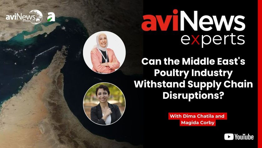 Can the Middle East’s Poultry Industry Withstand Supply Chain Disruptions?