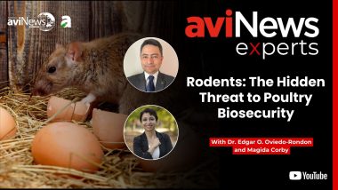 Rodents: The hidden threat to poultry biosecurity