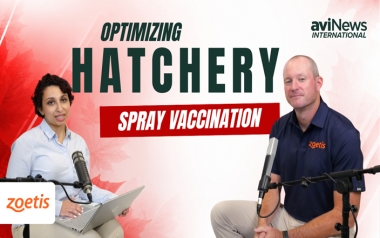 Optimizing Hatchery Spray Vaccination: Precision, Vaccine Handling and Application Best Practices