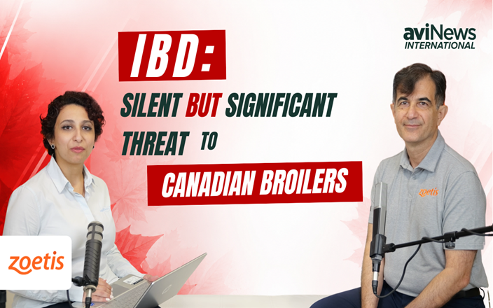 IBD