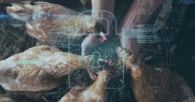 bioseguridad digital en granjas