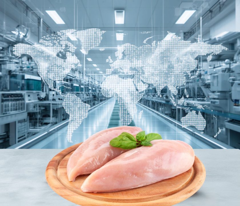 Mercado avícola mundial en 2026: Crecimiento sostenido, nuevos desafíos y la necesidad de mayor disciplina productiva