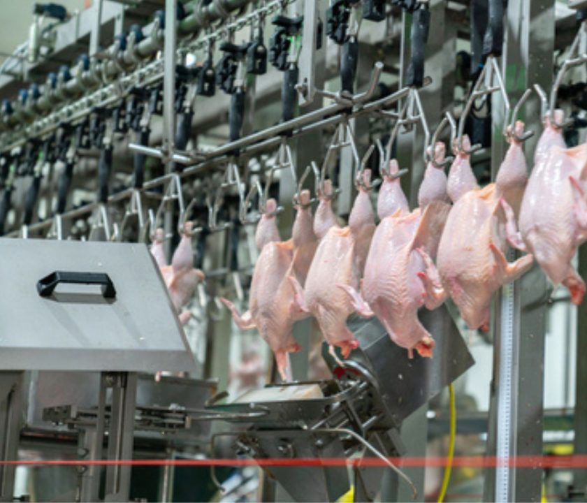 Brasil: Exportaciones de carne de pollo registran un récord histórico en primer semestre de 2026