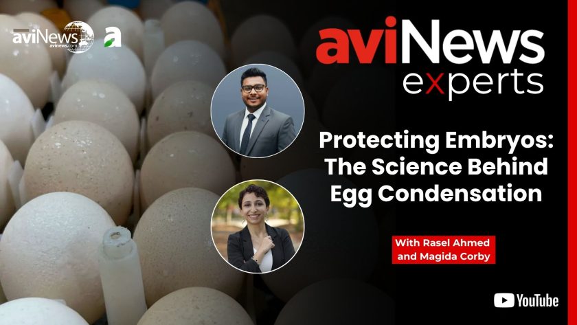 Protecting embryos: The science behind egg condensation