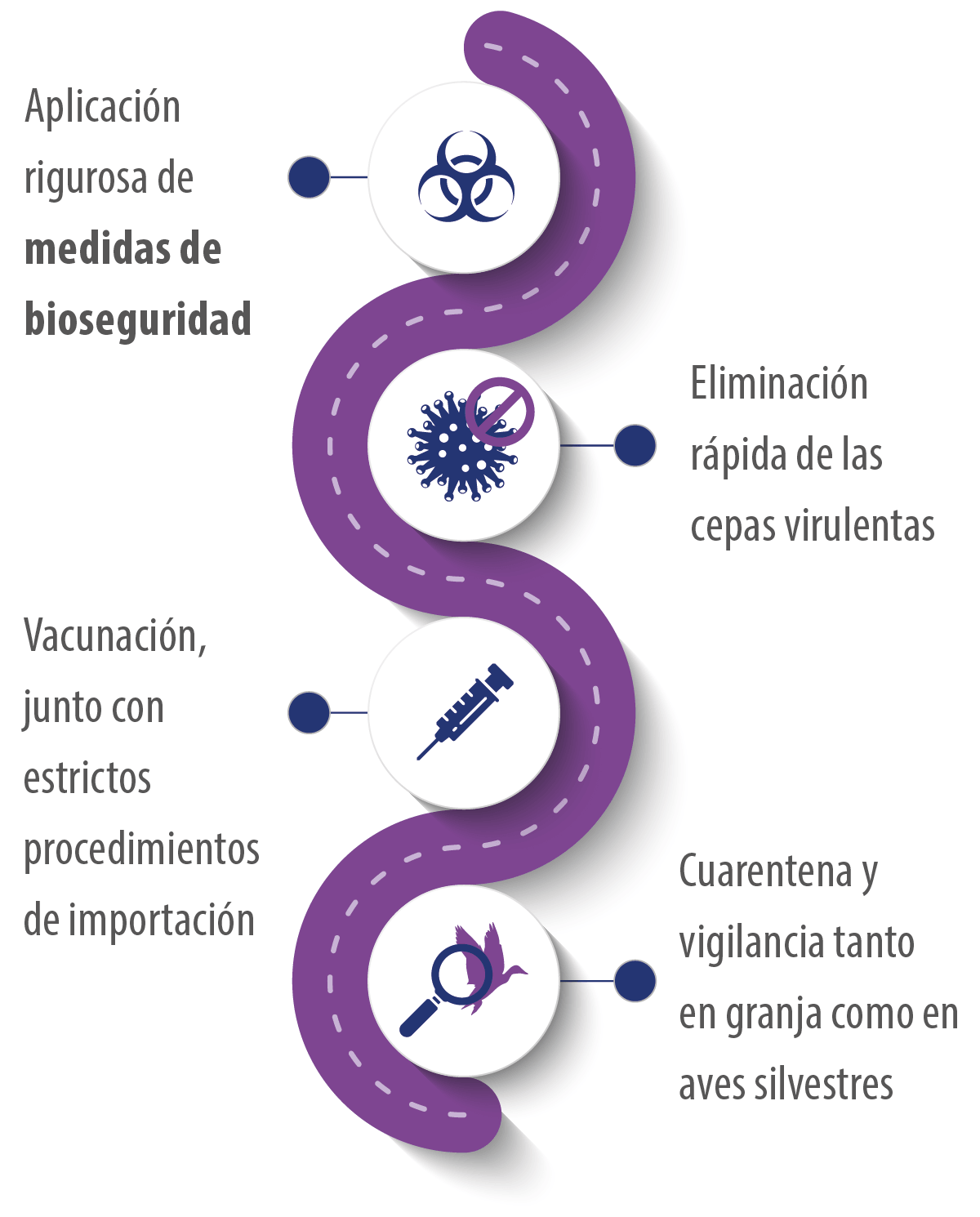 info4