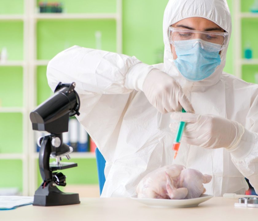 laboratorio avicola