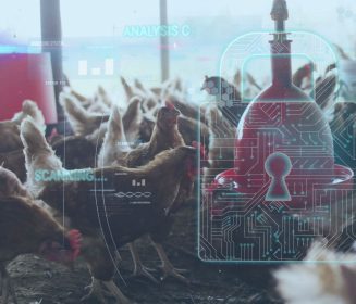 Inmunología digital en la avicultura mexicana frente al cambio climático
